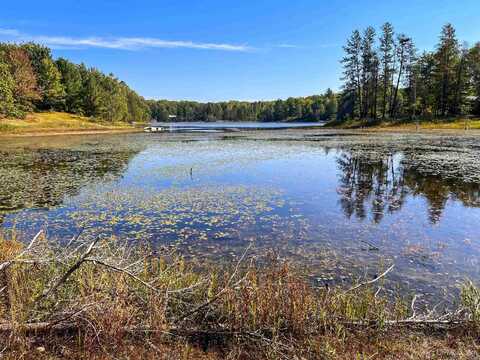 TBD E Martin Lake, Skandia, MI 49885