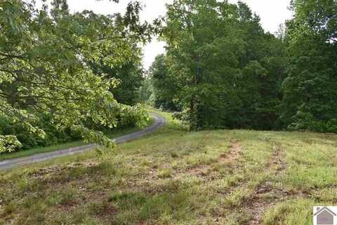 3 Lots Liberty Lane, Cadiz, KY 42211