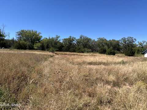 Lot 13 Susie Lane, Springerville, AZ 85938