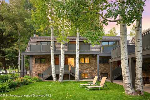 124 E Durant Avenue, Aspen, CO 81611