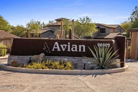 20802 N Grayhawk Drive, Scottsdale, AZ 85255