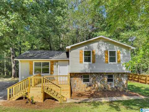 1711 CHAMPION ROAD, ONEONTA, AL 35121