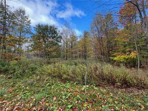 0 Town Line Road, Butternuts, NY 13776