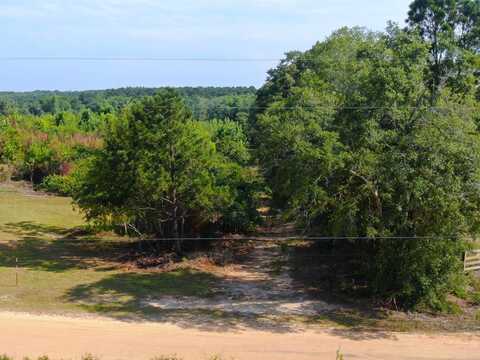 14.84 Old Elba Rd, Coffee Springs, AL 36318