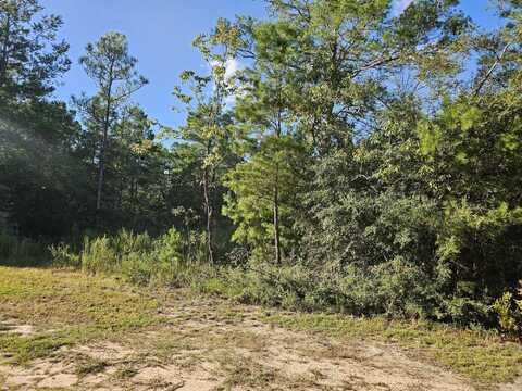 Lot 3 W BLUEBOTTLE CT, DeFuniak Springs, FL 32433