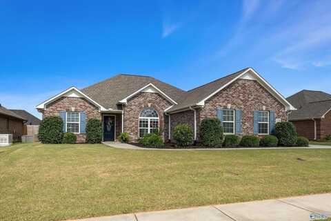 13293 Callaway Drive, Madison, AL 35756