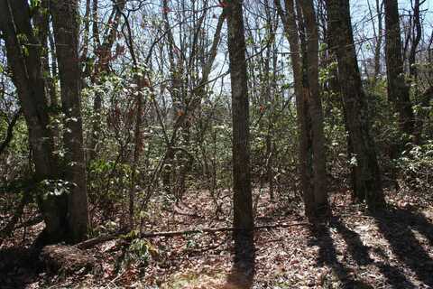 TBD Summit Dr. N SUMMIT DR, MONTEREY, VA 24465