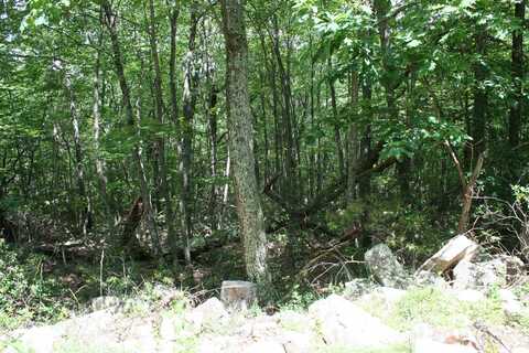 TBD HIGH VALLEY SOUTH, MONTEREY, VA 24465