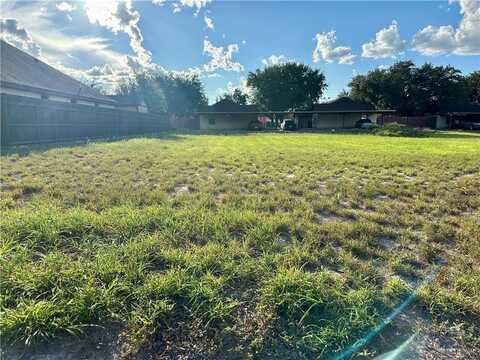 309 Pheasant Drive, La Joya, TX 78560