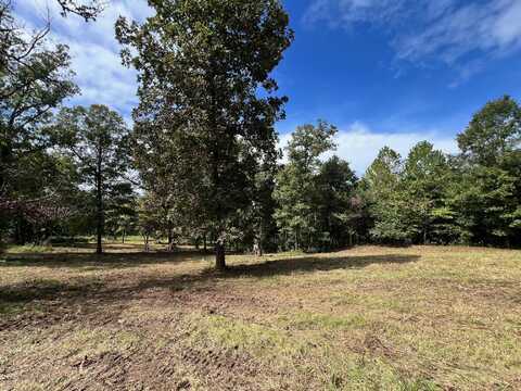 000 Rainbow Valley Trail, Mammoth Spring, AR 72554