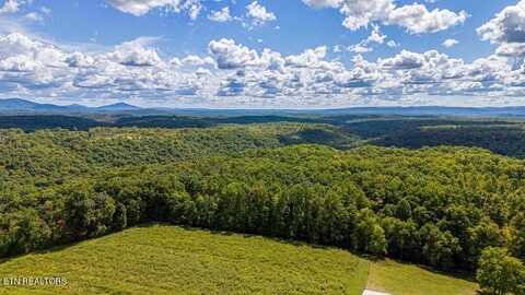 Deer Lodge Hwy, Deer Lodge, TN 37726