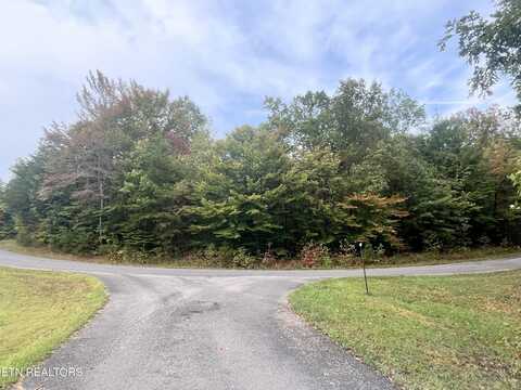 Lt 19 Evergreen Drive, Oneida, TN 37841