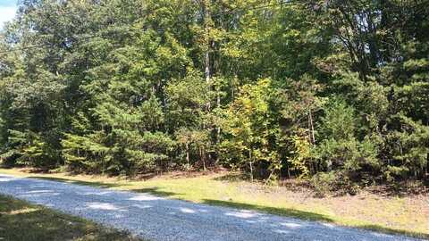 0 Piney Mountain Lane, Shipman, VA 22971