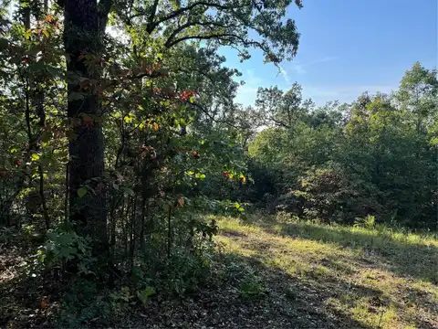 0 Lot 6b Lakeview Drive, Perryville, MO 63775