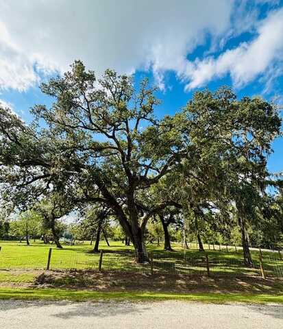 0 Oak Forest Drive, Van Vleck, TX 77482