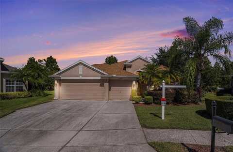 23815 ESTERO COURT, LAND O LAKES, FL 34639