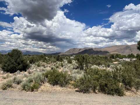 Lot 003 US Highway 395, Walker, CA 96107