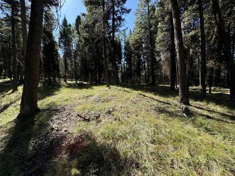 643 & 589 Stagecoach Drive, Seeley Lake, MT 59868