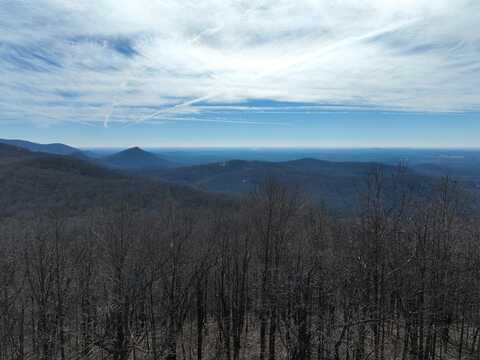 256 Blood Root Trail, Ellijay, GA 30536