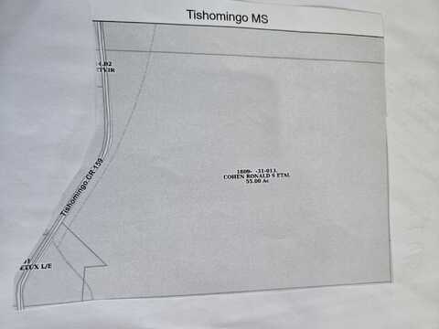 CR 159, Tishomingo, MS 38873