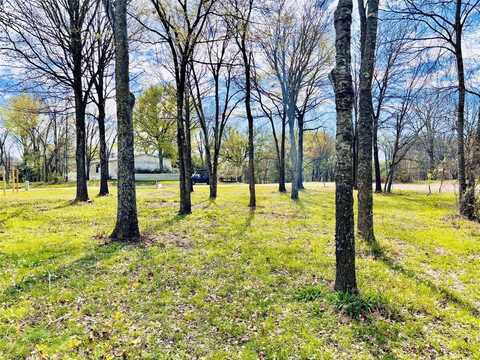 Lot 273 Broken Bow, Quitman, TX 75783