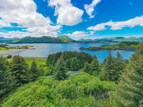 5979 Cliff Point Rd, Kodiak, AK 99615