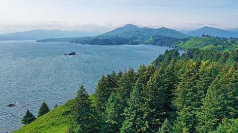 6195 Cliff Point Road The Point Lot 11, Kodiak, AK 99615