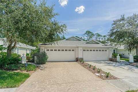 Chapel Creek CIR Chapel Creek CIR, Wesley Chapel, FL 33544