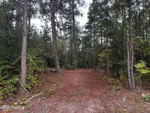 ? Foxfire Road, Jackson Springs, NC 27281