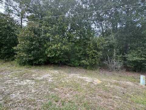 19 Ida Mill Road, Laurel Hill, NC 28351