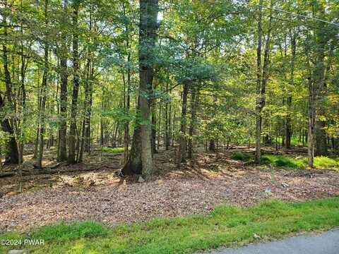 Lot 200 Cottonwood Drive, Hawley, PA 18428