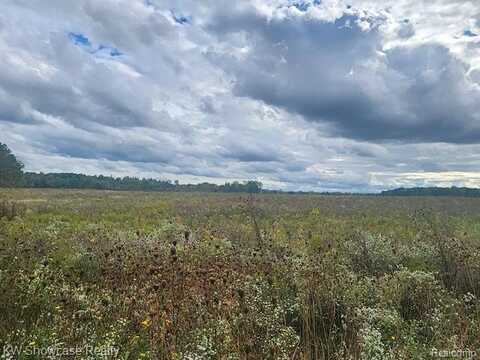 Lot B LASHBROOK Vacant Land Road, Goodells, MI 48027