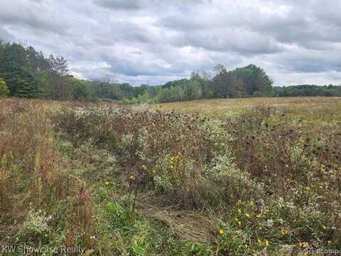 Lots B and C LASHBROOK VACANT LAND Road, Goodells, MI 48027