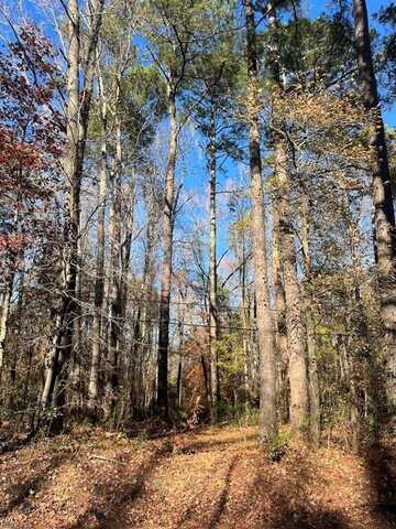 lot 80 Pughsville Road, Suffolk, VA 23435