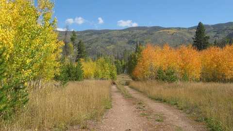 000 SPRINGBOARD TRAIL, Oak Creek, CO 80467