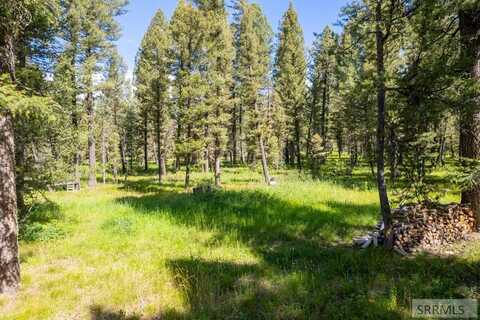 4164 Forest View Drive, Island Park, ID 83429