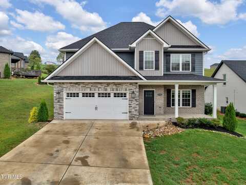 1624 Prospects Way, Gray, TN 37615