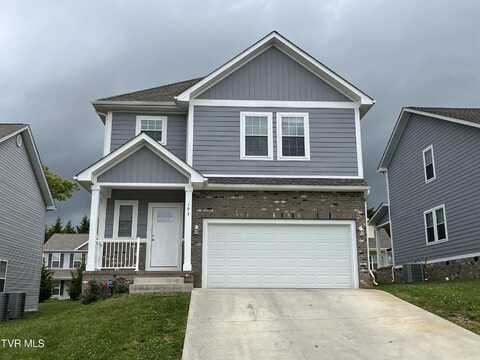 193 Ridge Pointe, Johnson City, TN 37604