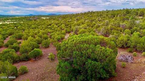 Tbd N3218 37 Acres, Vernon, AZ 85940