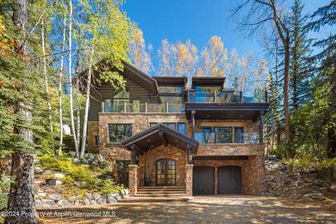 735 E Francis Street, Aspen, CO 81611