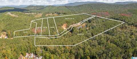 11 Acres TUCK-A-WAY DRIVE, PIEDMONT, AL 36272