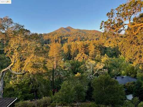 10 N Ridgewood Rd, Kentfield, CA 94904