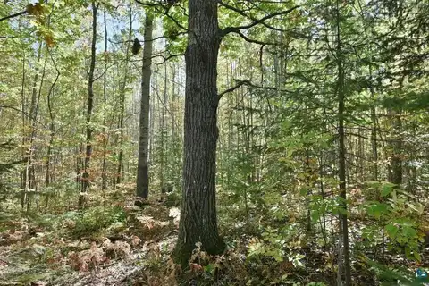 Lot 1 County Hwy C, Cornucopia, WI 54827