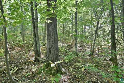 Lot 2 County Hwy C, Cornucopia, WI 54827