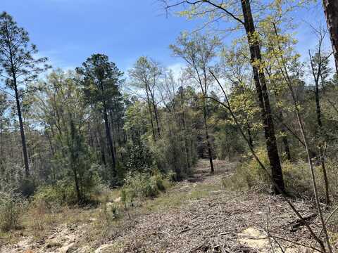 Bambi Road, Crestview, FL 32539