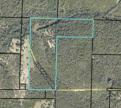 79 Acres Bucking Up Road, Laurel Hill, FL 32567