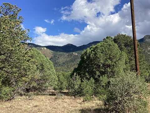 19.81 Ac LOWER PATTERSON CANYON, Magdalena, NM 87825