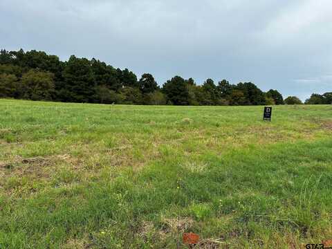 16724 CAELI HEIGHTS COURT (LOT 13), Winona, TX 75792