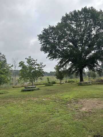 869 An Cr 346, Palestine, TX 75803