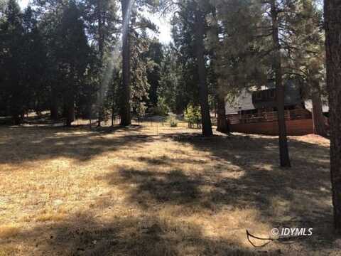 W Marian View, Idyllwild, CA 92549